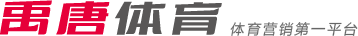 维的球队正