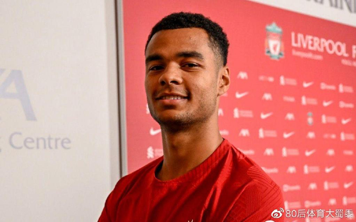 顽强的比赛 顽强的比赛